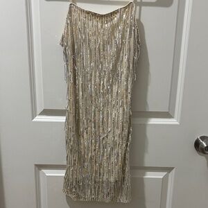 Gold and Silver Dress